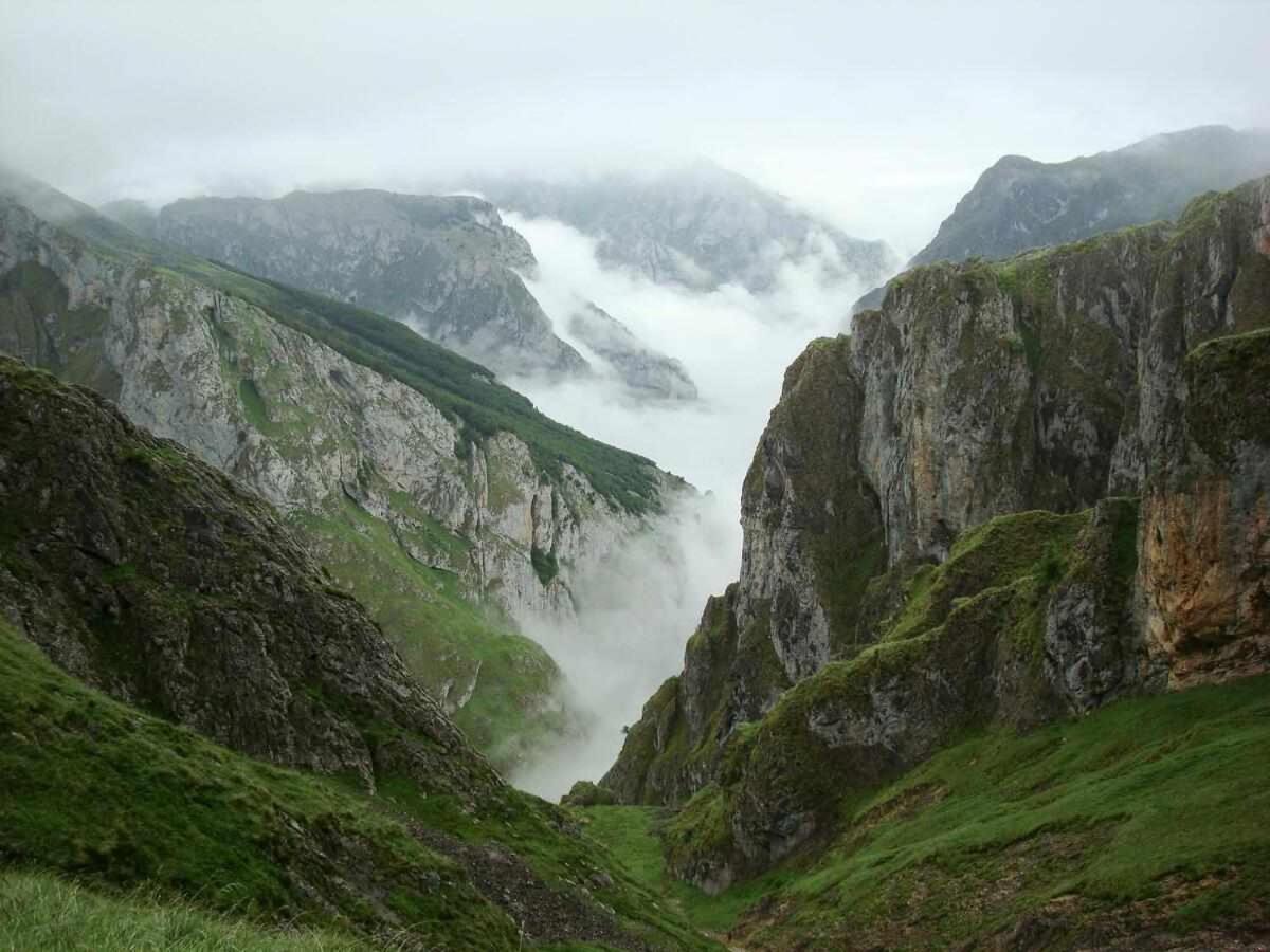 Casa Rural La Carrozal Senda Del Oso Orelleiru Esterno foto