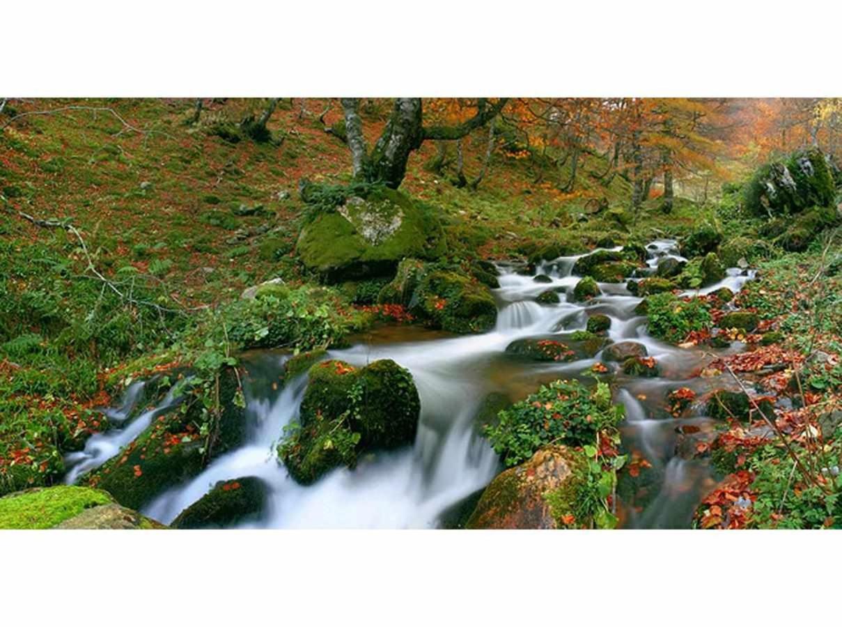 Casa Rural La Carrozal Senda Del Oso Orelleiru Esterno foto