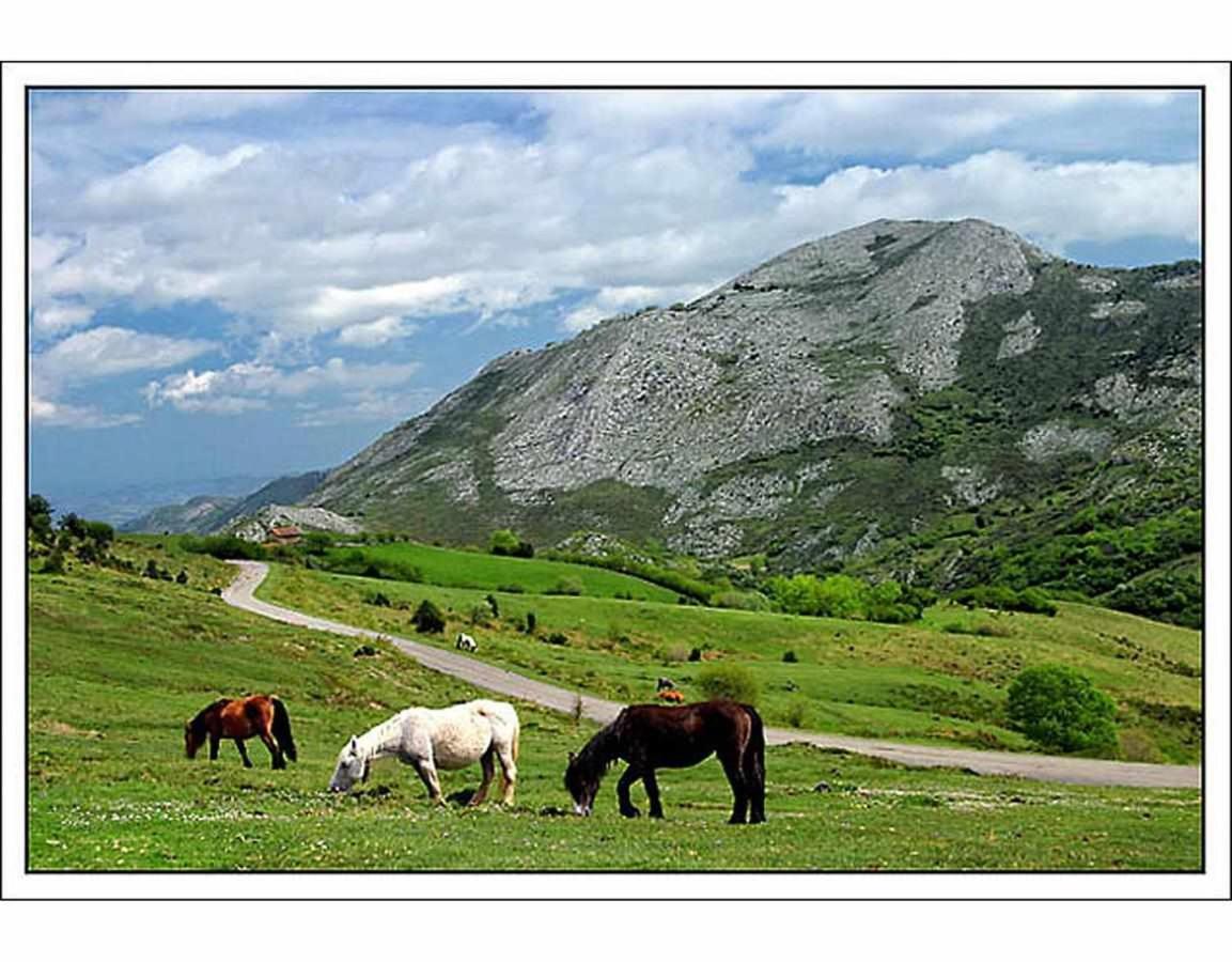 Casa Rural La Carrozal Senda Del Oso Orelleiru Esterno foto